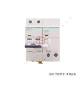 Vigi-iC65-ELE-2P-40A-100mA-A9V63240-施耐德漏電保護(hù)裝置