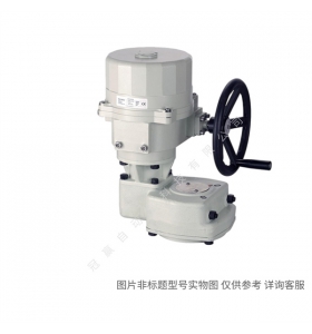 Siemens/西門子樓宇自動化 IBT:SBV61 執(zhí)行器0-10VAC24V1600N