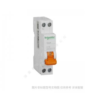 施耐德小型斷路器iC65N 2P C63A/schneider全系列產(chǎn)品